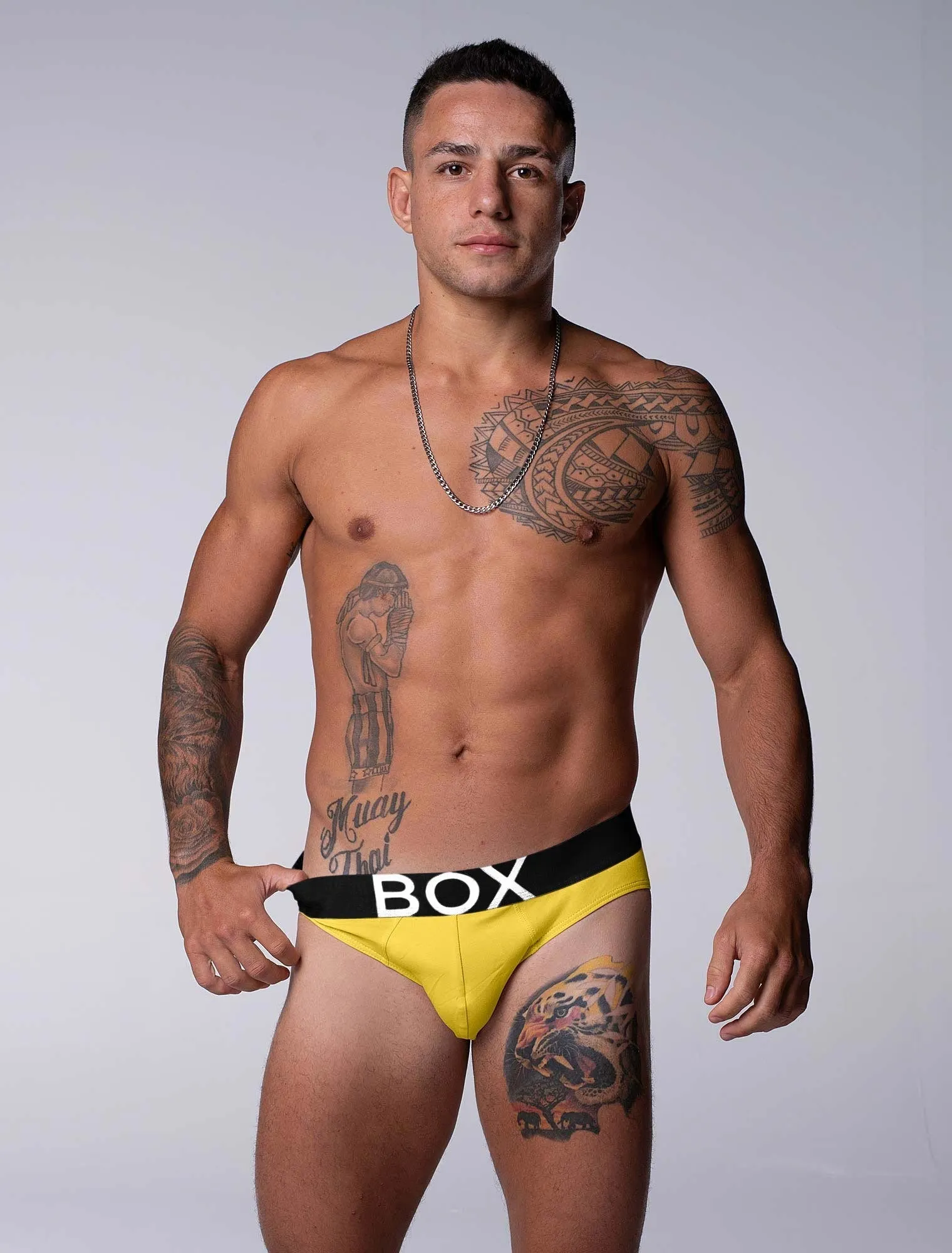 Limited Edition Briefs Bundle - Purple and Yellow